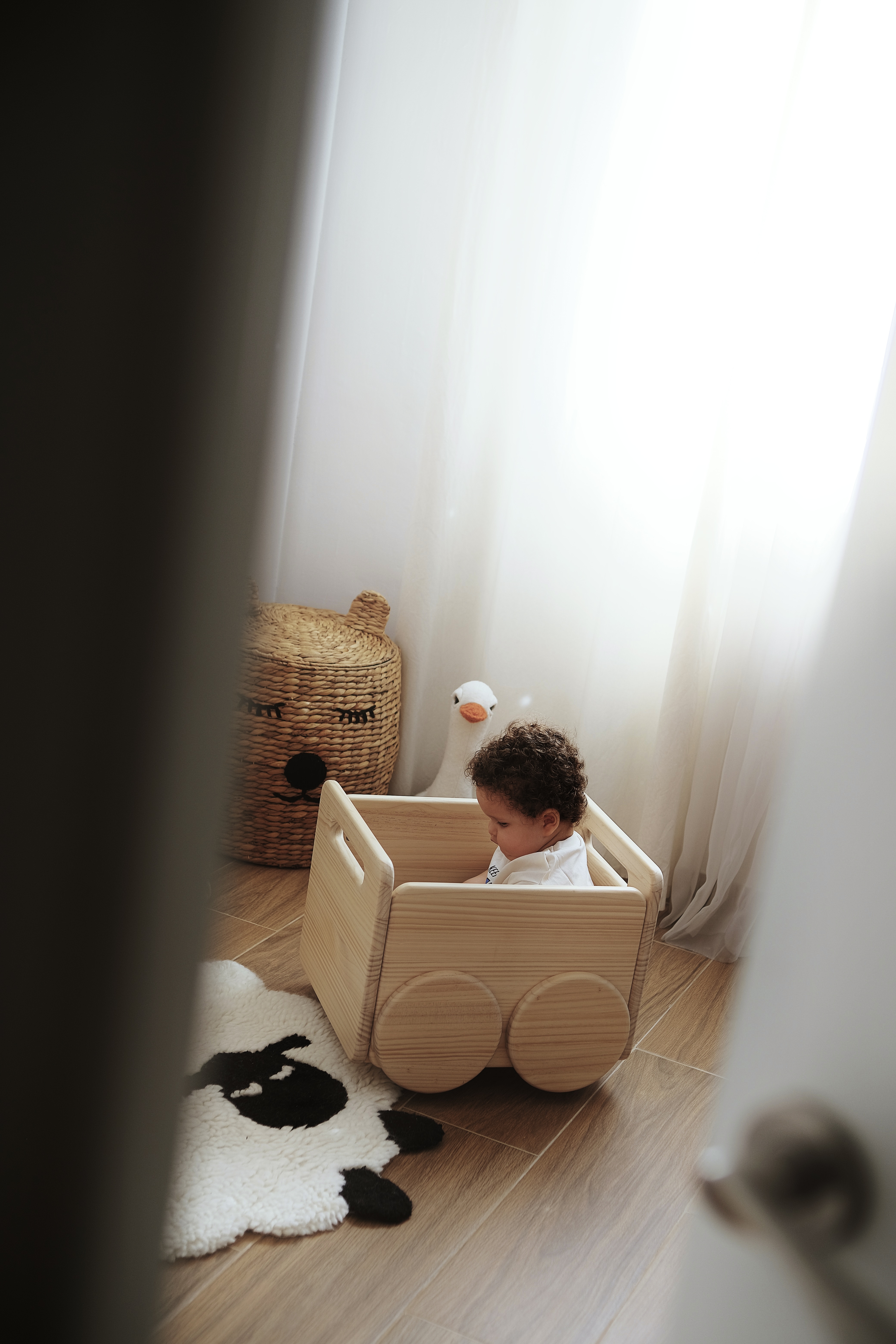 circulari portfolio 5