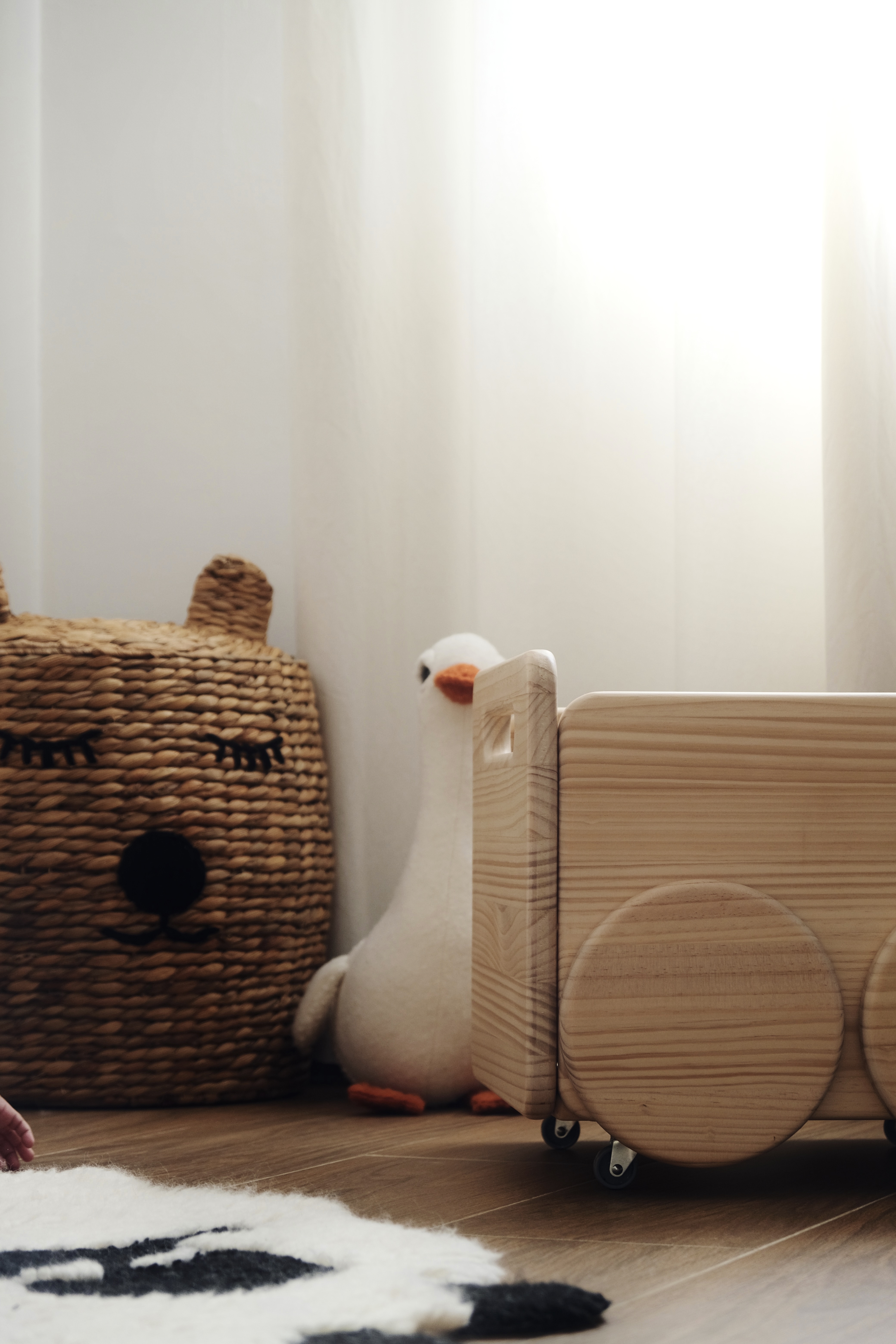 circulari portfolio 6