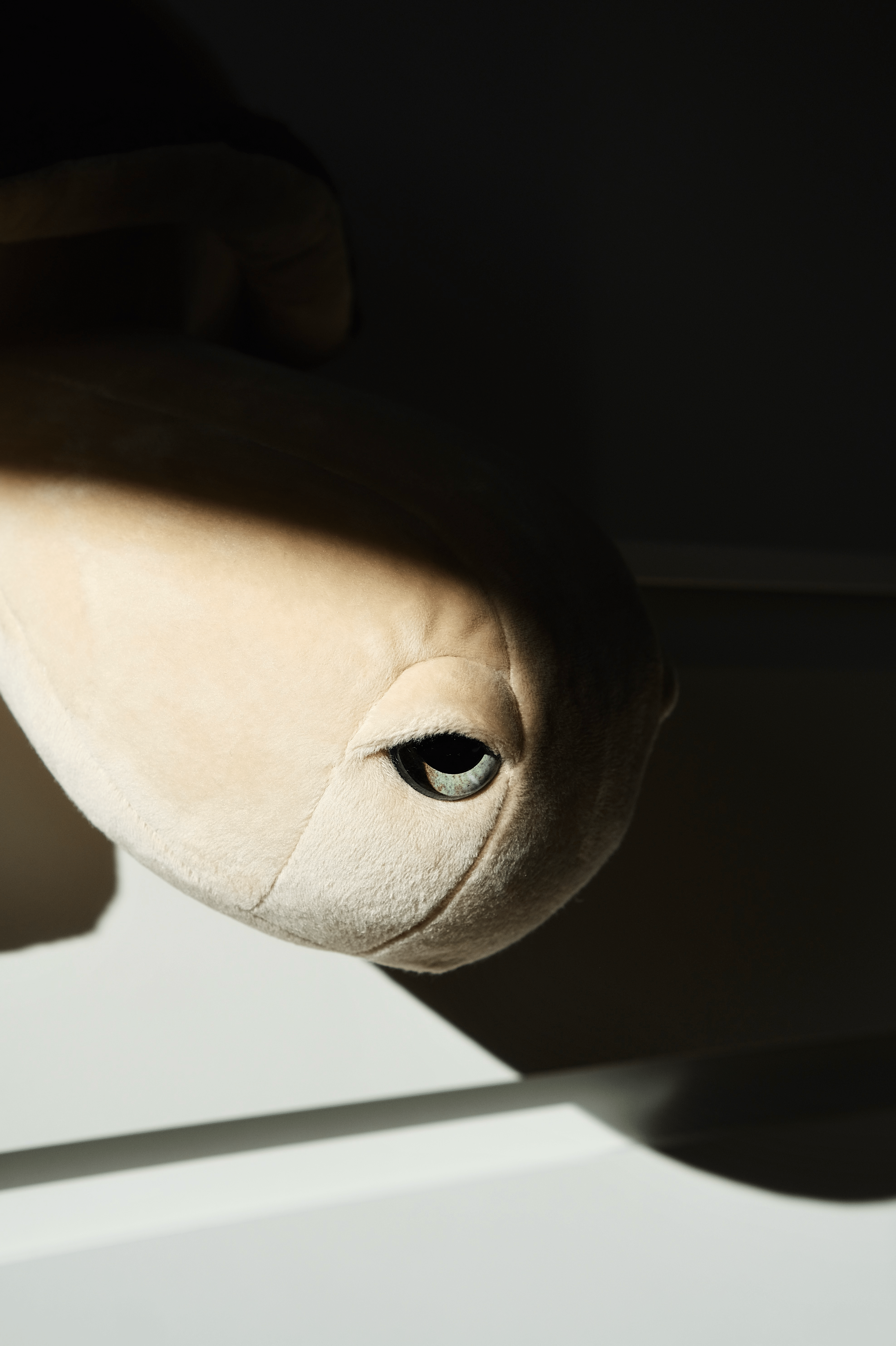 the-plushly portfolio 4