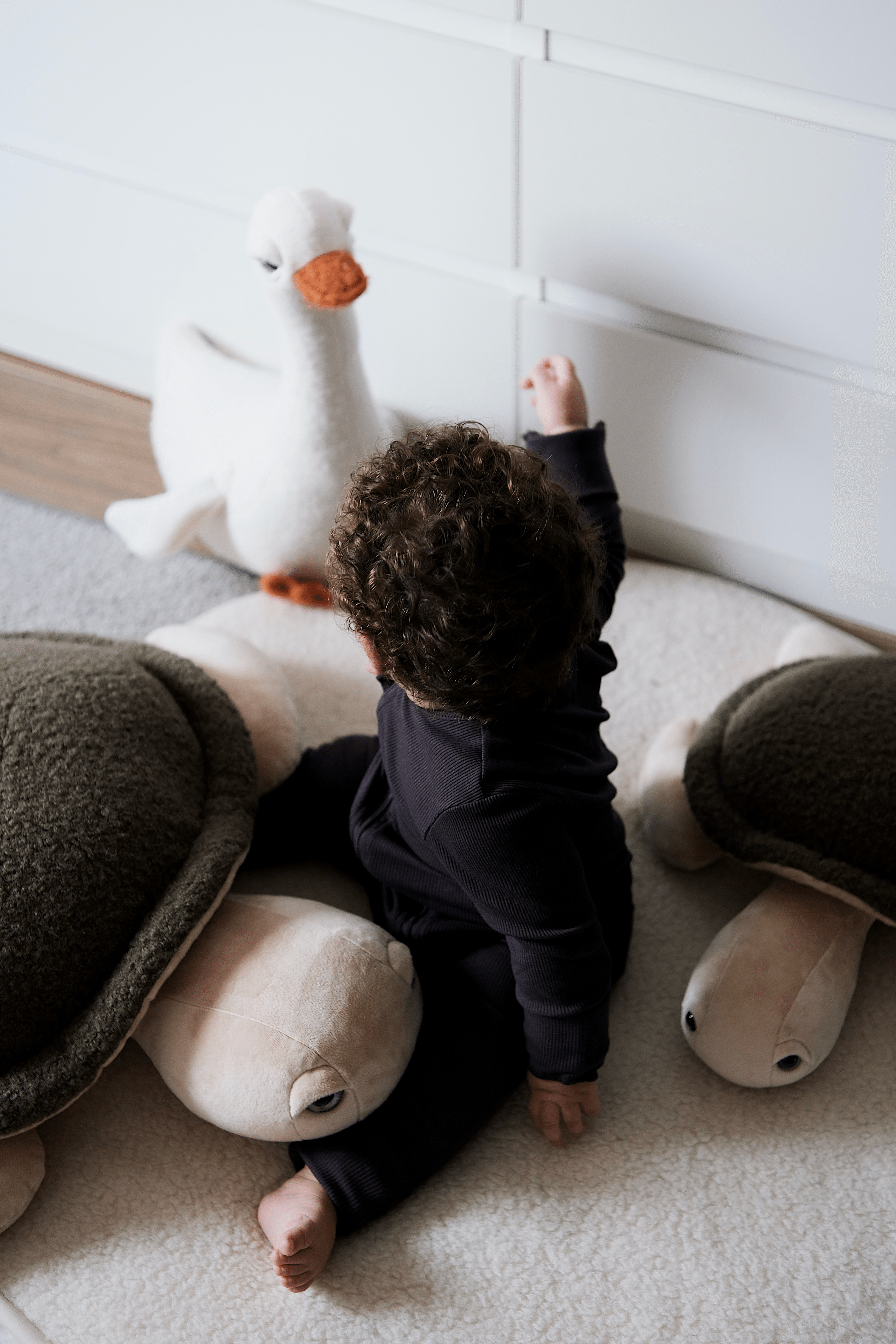 the-plushly portfolio 5