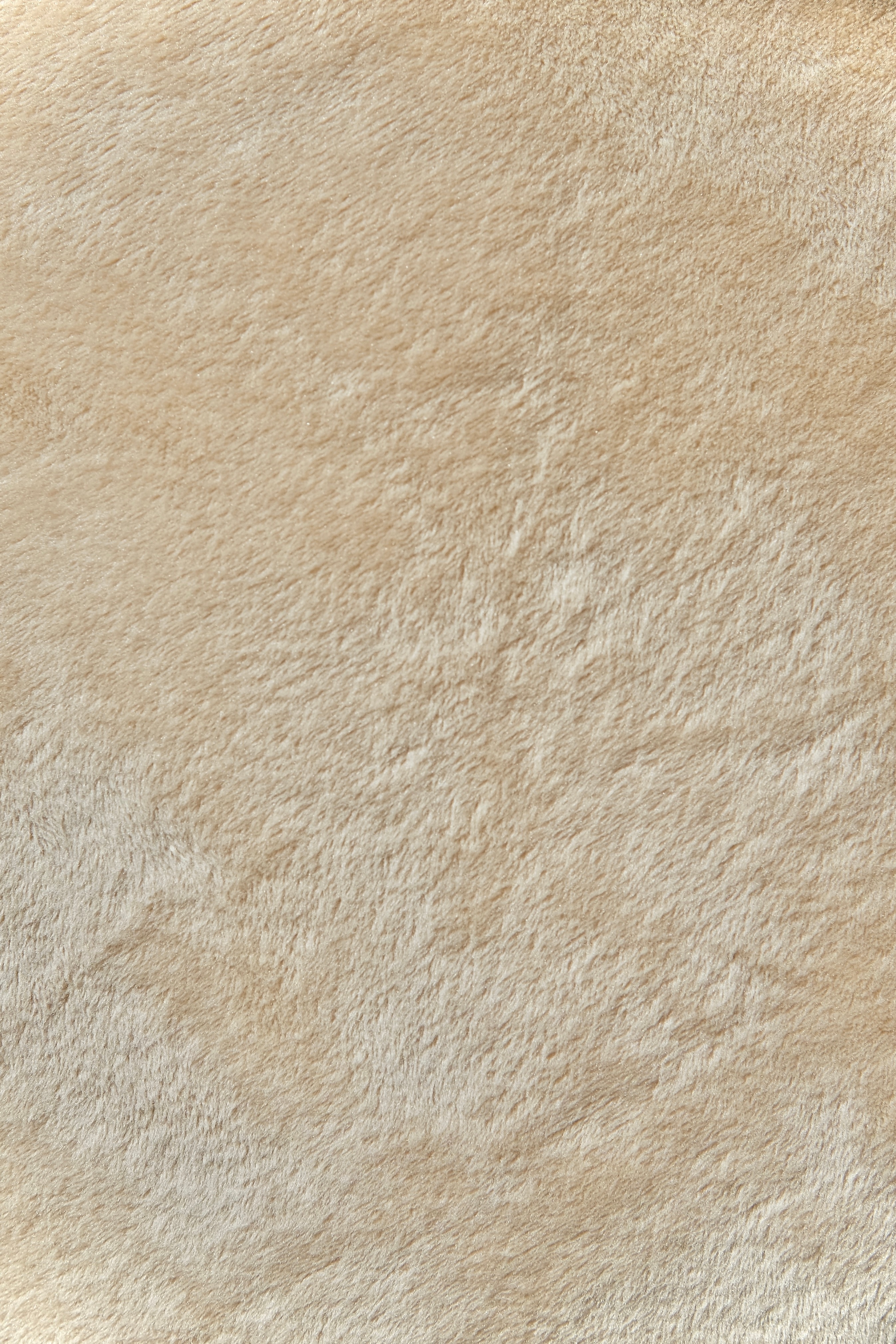 the-plushly portfolio 6